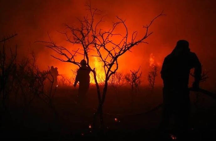 Arjantin’de günlerdir devam eden yangınlar 50 yıllık araştırmaları küle çevirdi!
