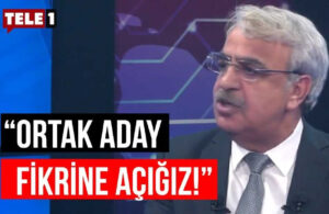 HDP Eş Genel Başkanı Mithat Sancar: Parlamento seçimlerine Millet İttifakı ile girmeyeceğiz