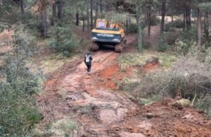 İstanbul’da Millet Bahçesi için Aydos Ormanı’nda kesilen ağaçlar tepki çekti