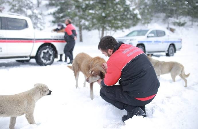 Kartal Belediyesi karla mücadele çalışmalarını sürdürüyor