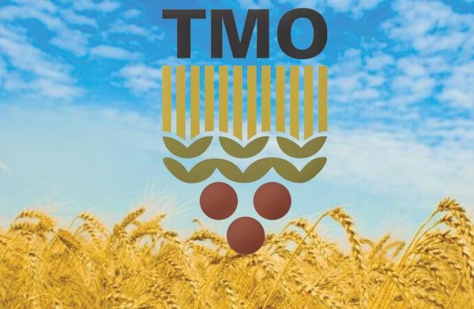 TMO’dan buğday satış fiyatına yüzde 22 zam!