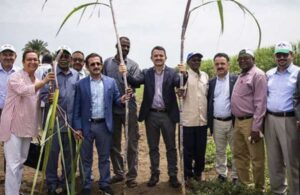 Sudan’da tarım yapmak için şirket kuruldu ama ne toprak var ne üretim
