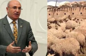 Mahmut Tanal: 17 koyun gözaltına alındı!