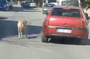 İple bağlı köpeği peşinden koşturan sürücüden şoke eden savunma
