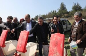 Mudanya Belediyesi’nin ayçiçek tohumları toprakla buluştu