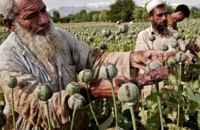 Taliban uyuşturucu ve sarhoşluk veren tüm maddeleri yasakladı