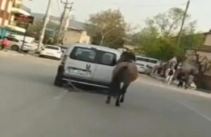 Atı arabaya bağlayarak koşturan  sürücüye sadece bin 55 lira ceza