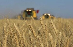 Türkiye tarihinde ilk kez Hindistan’dan buğday ithal etti