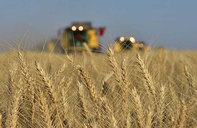 Türkiye tarihinde ilk kez Hindistan’dan buğday ithal etti