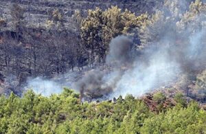 Fethiye’ye düşen yıldırım sonrası orman yangını çıktı
