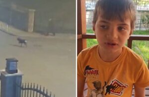 Sokak köpekleri 9 yaşındaki Berat’a saldırdı
