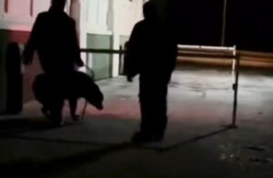 Güvenlik görevlisi sokak köpeğini defalarca tekmeledi! Acı içinde inledi