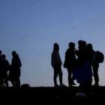 377 kaçak göçmen ülkesine gönderildi