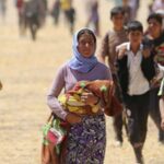 Lütfü Savaş: Sığınmacılar gitmezse azınlığa düşeceğiz