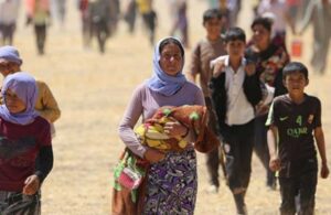 Lütfü Savaş: Sığınmacılar gitmezse azınlığa düşeceğiz