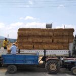 Tarsus Belediyesi hasat sonrası elde edilen saman balyalarını üreticilere ücretsiz dağıttı