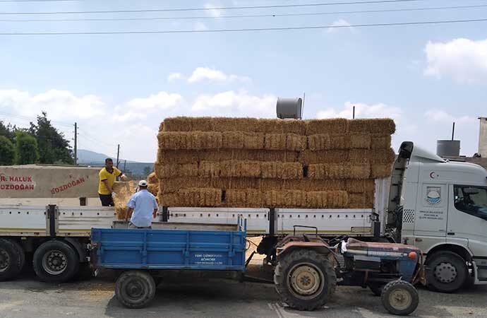 Tarsus Belediyesi hasat sonrası elde edilen saman balyalarını üreticilere ücretsiz dağıttı