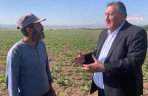 Hataylı tarım işçisi: Suriyeliler daha uygun fiyata çalıştıkları için iş bulunmuyor