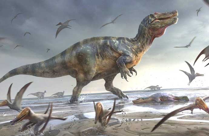 İngiltere’de yeni keşif: Avrupa’nın en büyük dinozor fosili