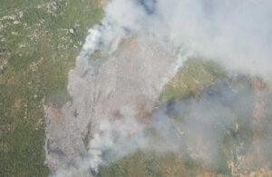 İzmir’de çıkan orman yangın 14 saat sonra söndürüldü