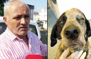 Köpeği döverek öldüren Hasan Kılıç’a hapis!