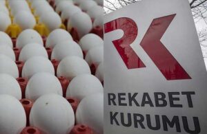 Rekabet Kurumu yumurta üreticilerine soruşturma başlattı