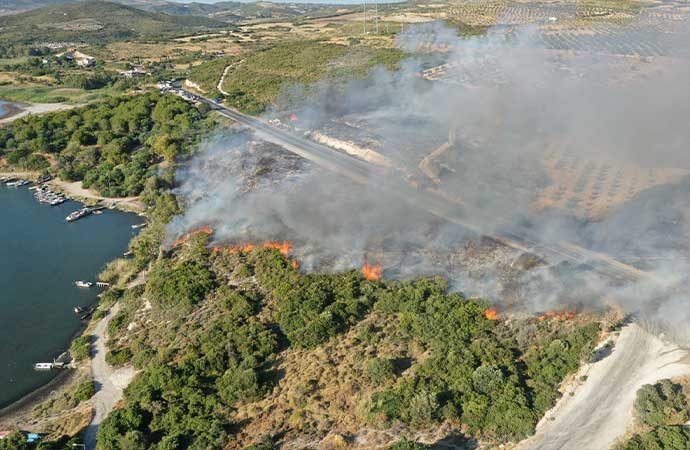 Aydın Büyükşehir ve Didim Belediyesi’nden orman yangınına hızlı müdahale