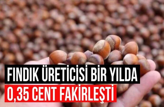 Erdoğan’ın ‘müjde’ diye açıkladığı fındık fiyatına üretici tepkili: Bahçede bırakmak daha iyi