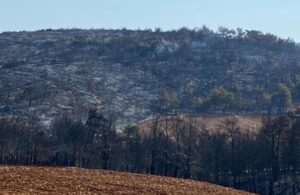 Manisa’daki orman yangını 13,5 saat sonra kontrol altına alındı