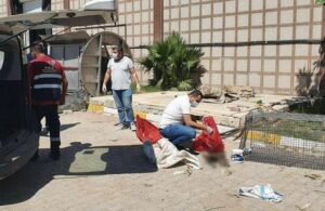 Hatay Büyükşehir Belediyesi katledilen köpeklerle ilgili suç duyurusunda bulundu