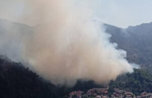 Marmaris’te orman yangını kontrol altına alındı