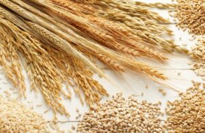 MSB’den ‘tahıl koridoru’ açıklaması: Tahılın güvenle ulaştırılması için çalışmalar sürüyor