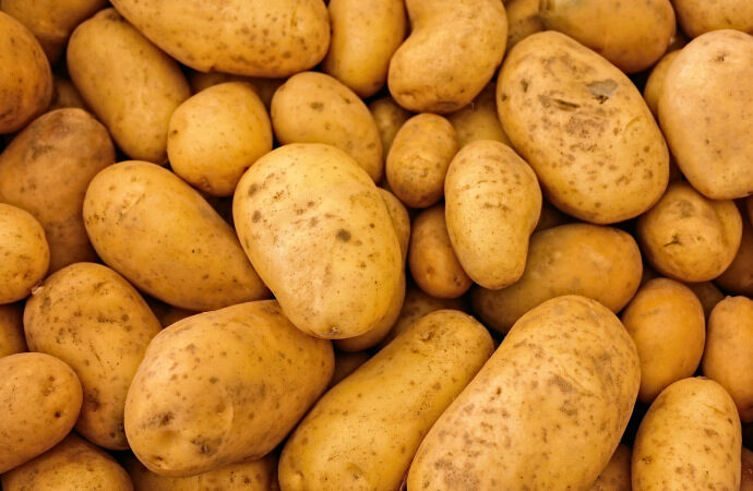 Patates üreticileri uyardı! Zam geliyor