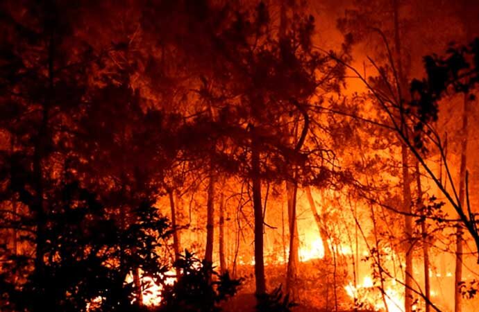 Fransa’da yangın! 1500 hektar kül oldu
