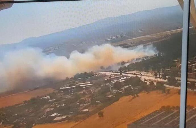 İzmir’de orman yangını fabrikalara sıçradı!