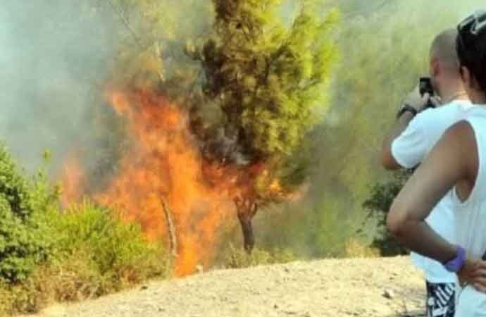 Muğla’da orman yangını kontrol altına alındı
