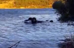 Otomobil göle devrildi, astsubay ve arkadaşı hayatını kaybetti