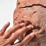 İzmir’de 8 bin yıllık parmak izi keşfedildi