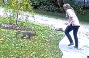 Evinin bahçesinde telefonla konuşan kadın tilkinin saldırısına uğradı