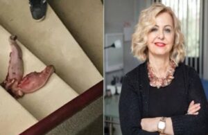 Prof. Esin Davutoğlu Şenol’u tehdit eden aşı karşıtı serbest bırakıldı!