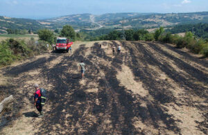 Sinop’ta yüksek gerilim hattına konan karga tarım arazisini yaktı