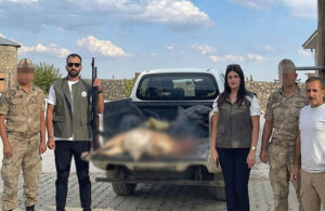 Tunceli’de yaban keçisi avına  254 bin TL ceza!