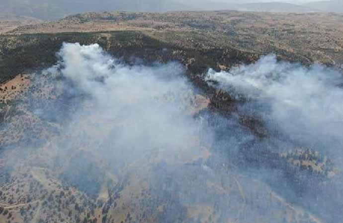 Erzincan’daki orman yangınında 13 hektar alan kül oldu