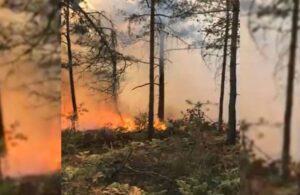 Tokat’ta aynı bölgede ikinci kez orman yangını çıktı