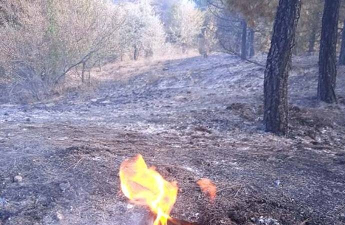 Afyonkarahisar’daki orman yangınında 3 dönüm alan zarar gördü