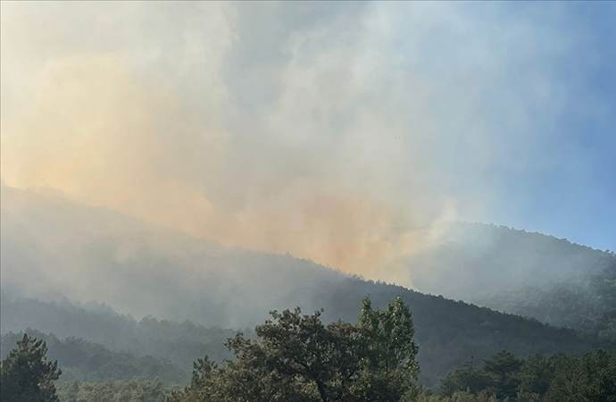 Eskişehir’deki orman yangını kontrol altına alındı