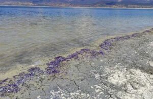 Burdur Gölü sahili mora boyandı