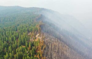 ABD’de yangınla mücadele! 17 bin hektar kül oldu, 11 binden fazla kişi tahliye edildi