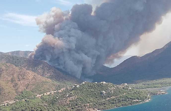 Marmaris’teki yangının bilançosu belli oldu! 500 hektar alan zarar gördü