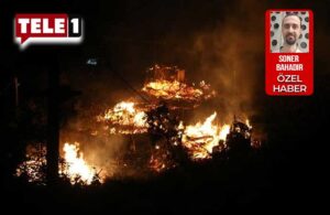 Sayıştay: Orman yangınlarında yerel yönetimlerle yeterli işbirliği yapılmadı